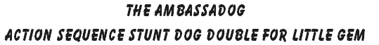 The Ambassadog
Action Sequence Stunt Dog Double For Little Gem 